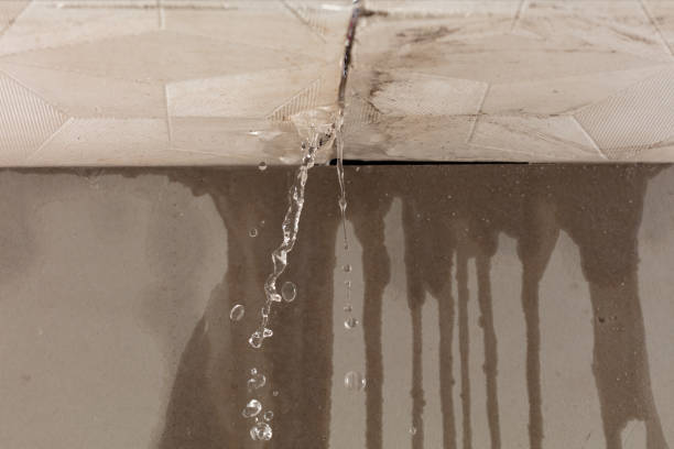 Professional Burst Pipe Cleanup technician working in Leming, TX